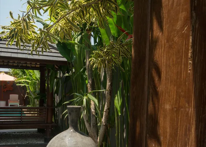 Sotis Canggu